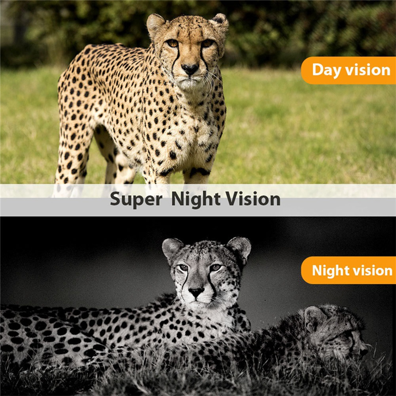 NEW-Wildlife Hunting Camera HC – обзор и цена Outdoor Hunting Camera Wireless