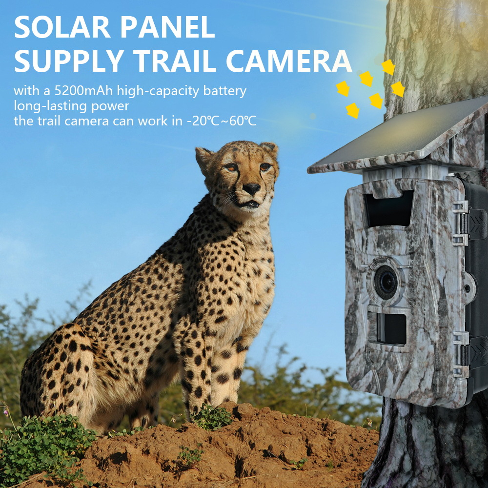 Solar WiFi 4K 60MP Hunting Cam – обзор и цена Outdoor Hunting Photography
