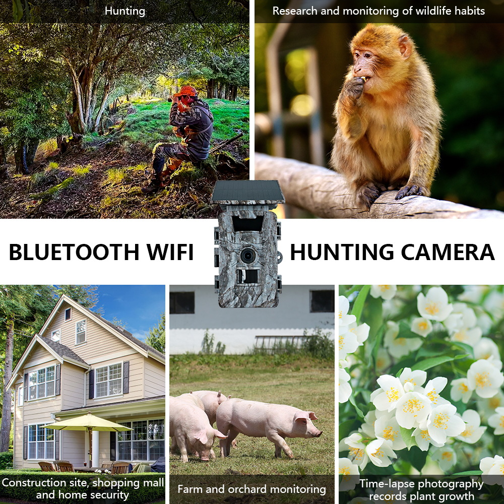 Solar WiFi 4K 60MP Hunting Cam – обзор и цена Outdoor Hunting Photography