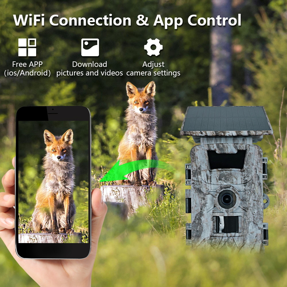 Solar WiFi 4K 60MP Hunting Cam – обзор и цена Outdoor Hunting Photography