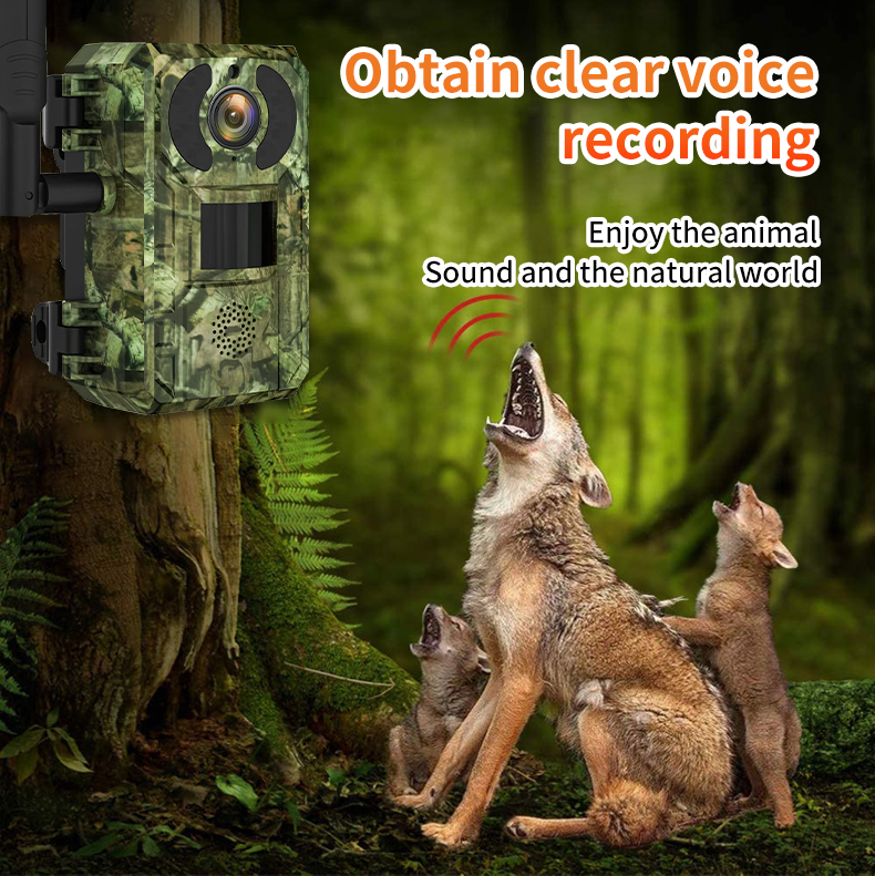 H10 4G Hunting Trail   With So – обзор и цена Outdoor Hunting Camera Wireless