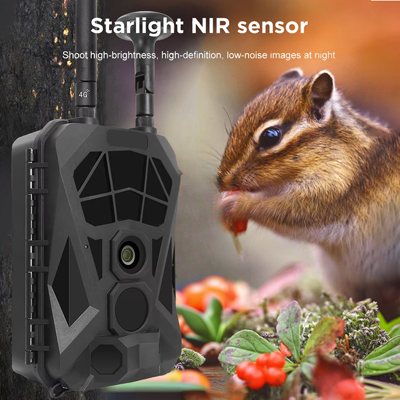 Trail Camera 4G GPS Wireless I – обзор и цена Outdoor Hunting Camera Wireless