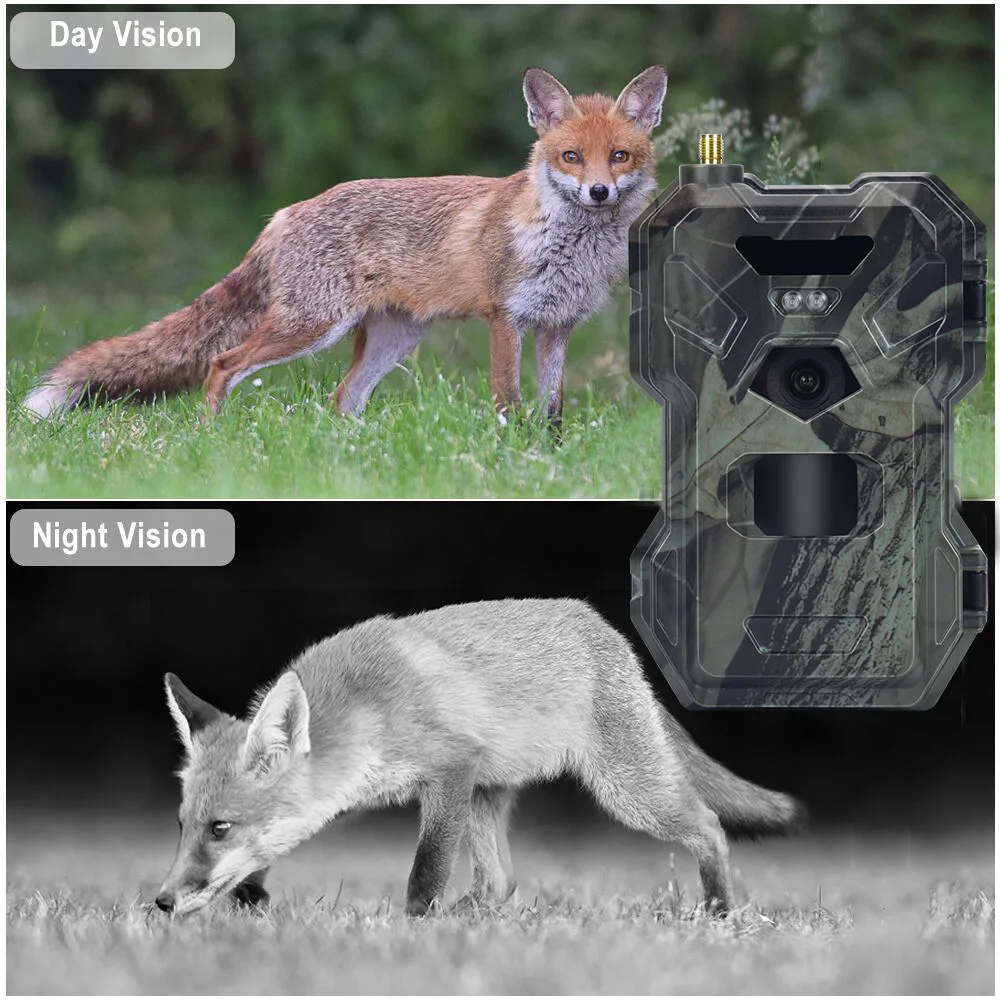 HC-880Pro Outdoor 4G 30MP HD 2 – обзор и цена Outdoor Hunting Camera Wireless